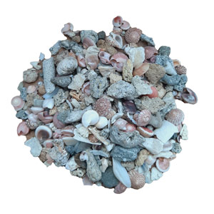 بسته خرده سنگ دریایی و حلزون بسته ۱۰۰ گرمی
